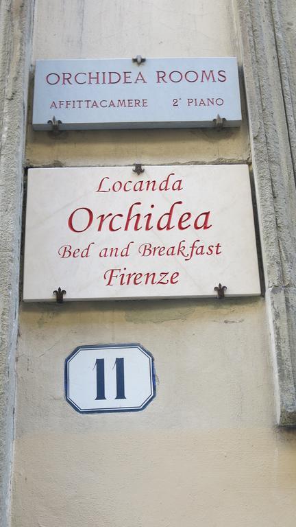 Orchidea 3* Florence
