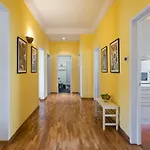 Tavanti Suite