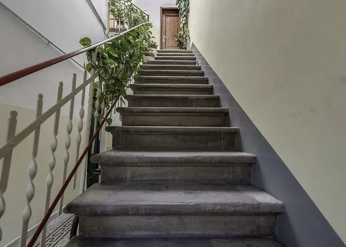 Hospalita