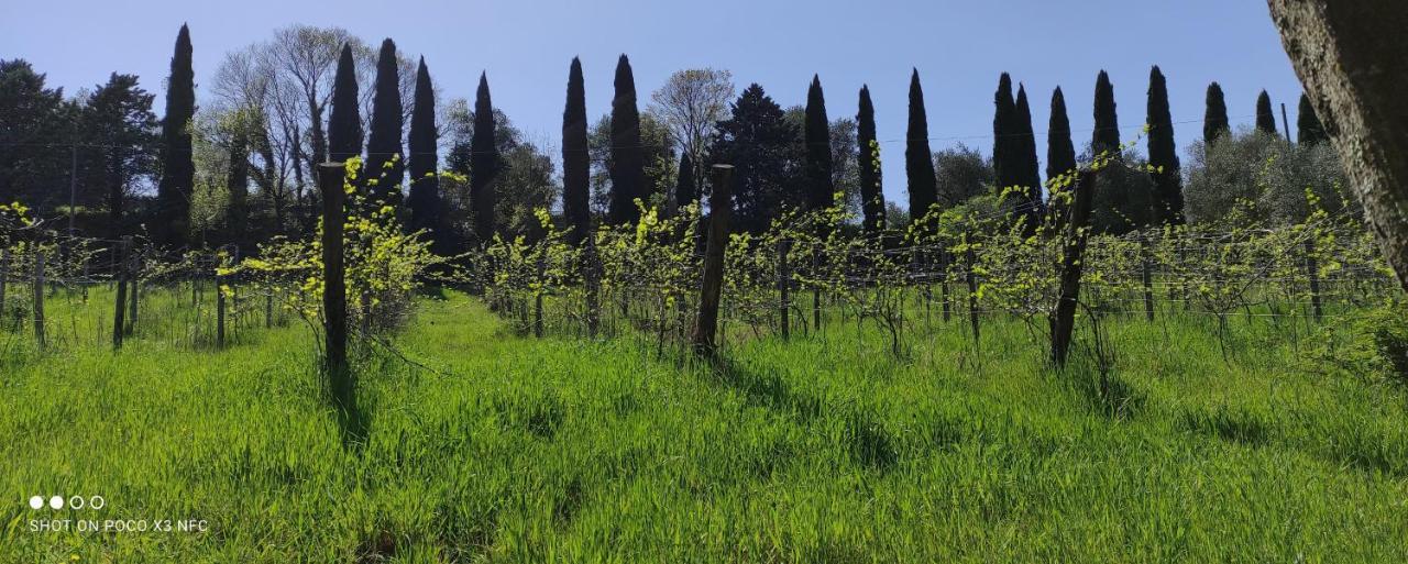 Fattoria Il Milione Farm stay Florence