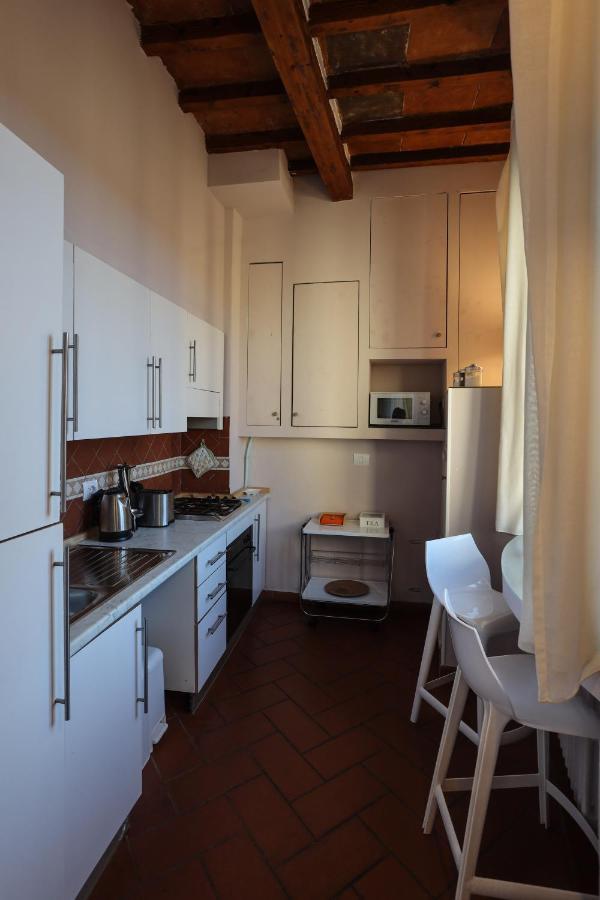 Santo Spirito - Elegante In Pieno Centro * Florence