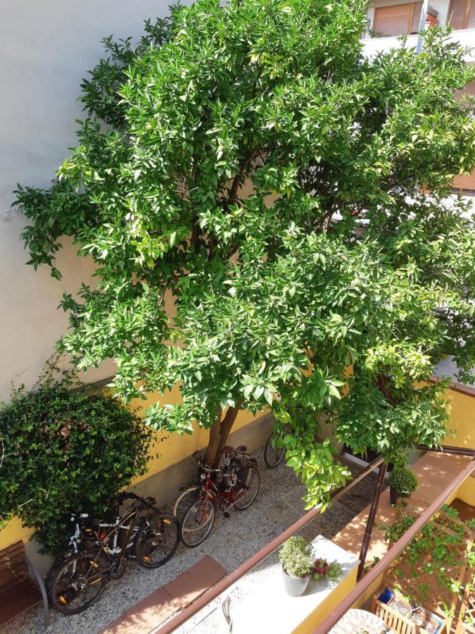 L'aranceto&stilnovo Guest house Florence