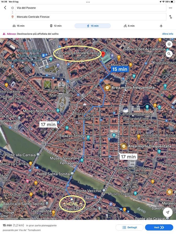 Uffizi & Santo Spirito Family/groups Appartement