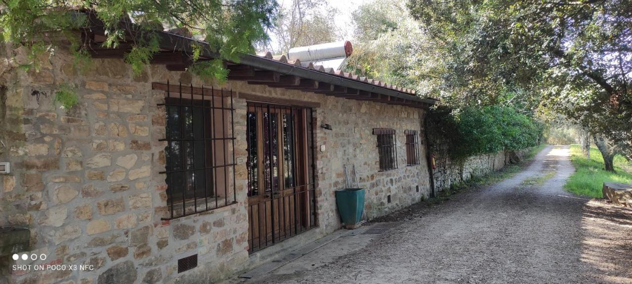 Farm stay Fattoria Il Milione *