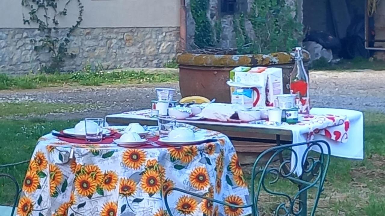 Accommodatie bij particulieren Sunshine Florence