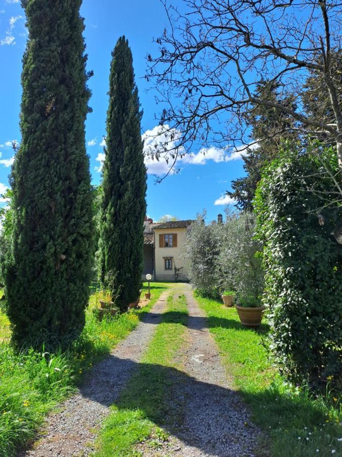 Sunshine Florence
