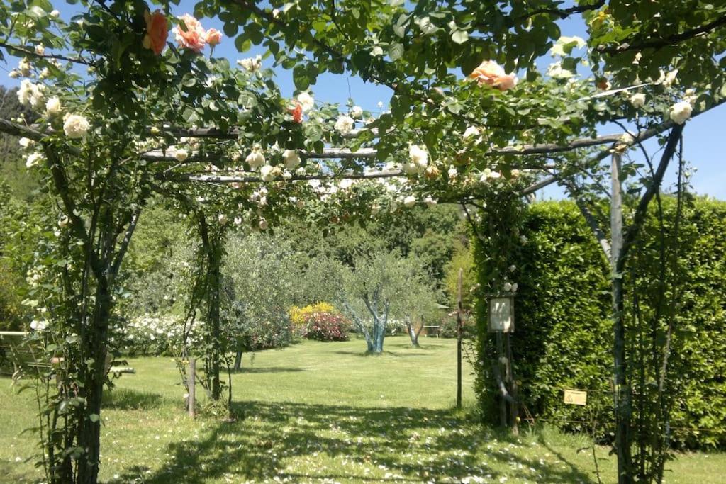 Il Giardino In * Florenz