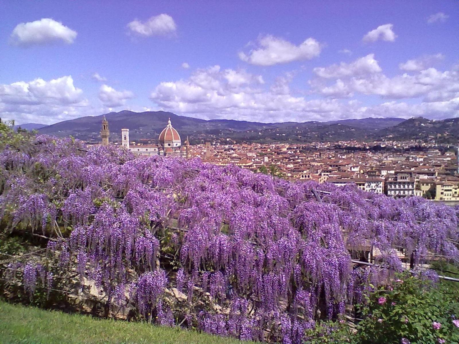 La Bella Vita *