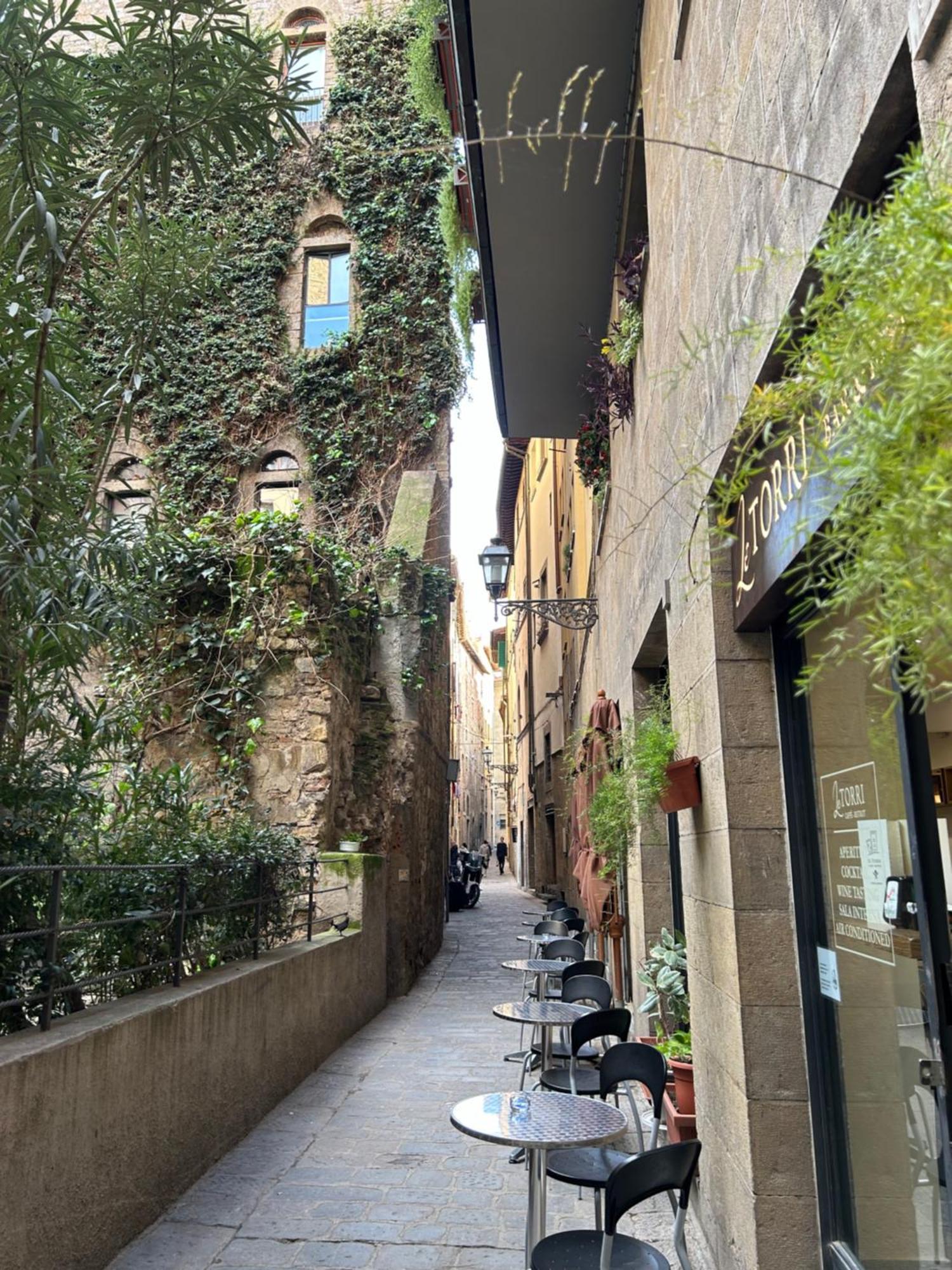 Appartement Borgo San Jacopo 8