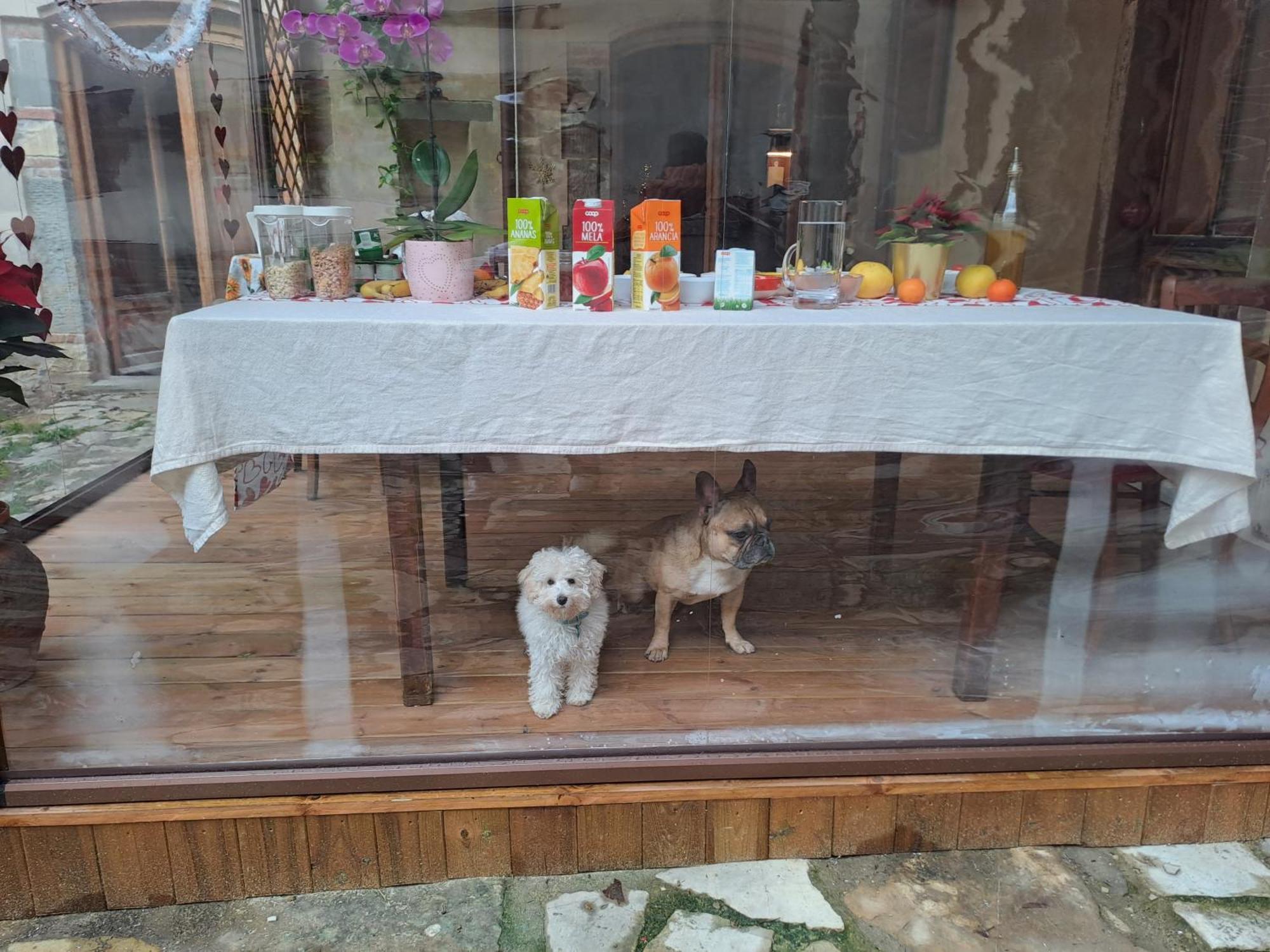 Accommodatie bij particulieren Sunshine Florence