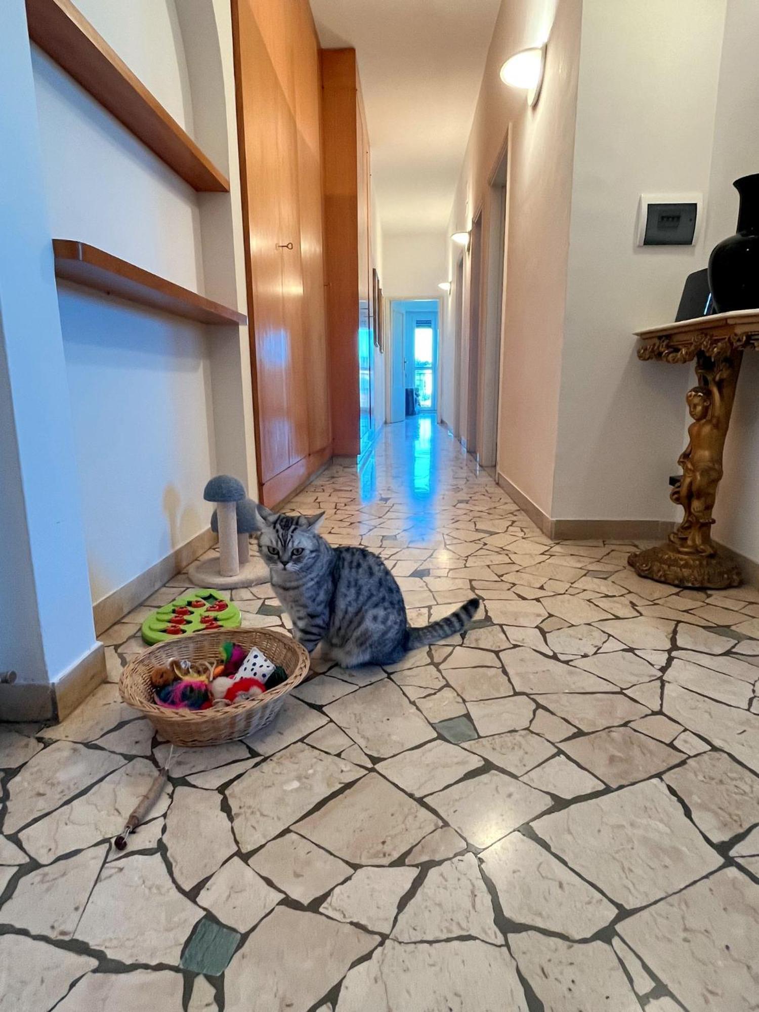 Stanza Singola In Condiviso Séjour chez l'habitant Florence