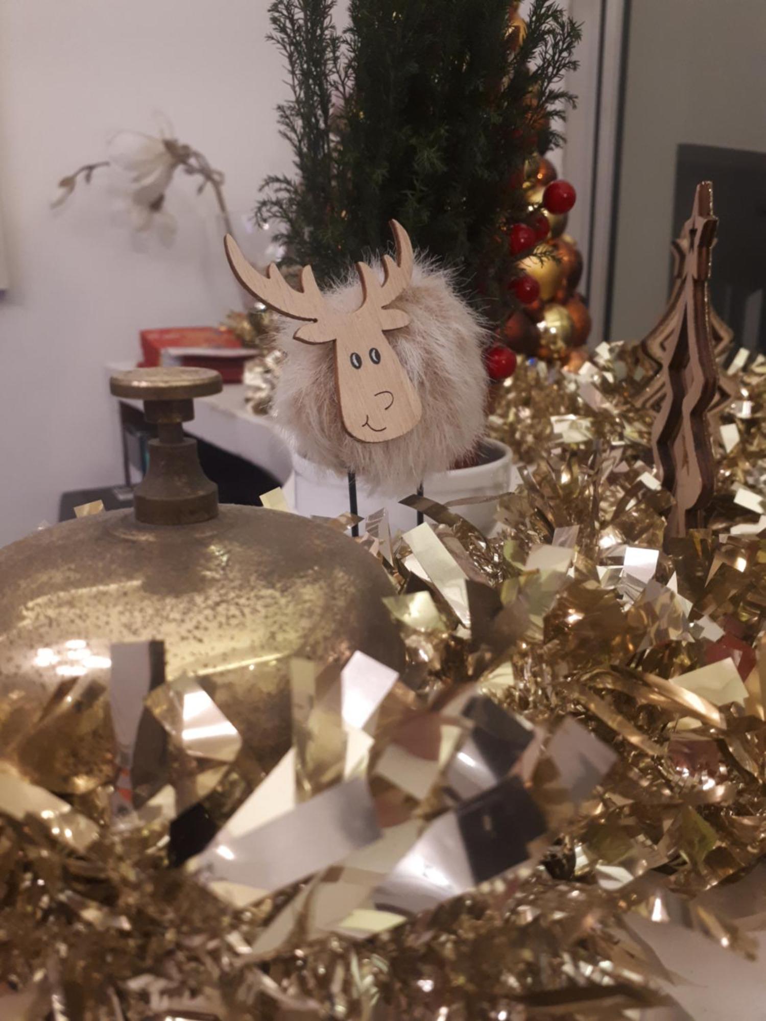 Ferrucci Hotel 3*