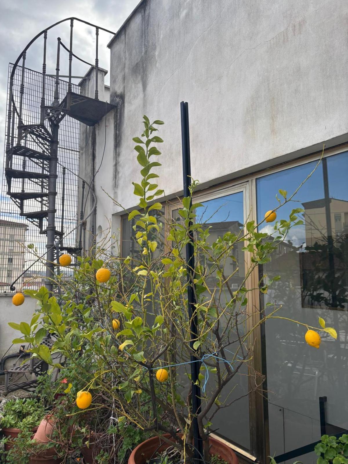 Girasole House Gasthuis