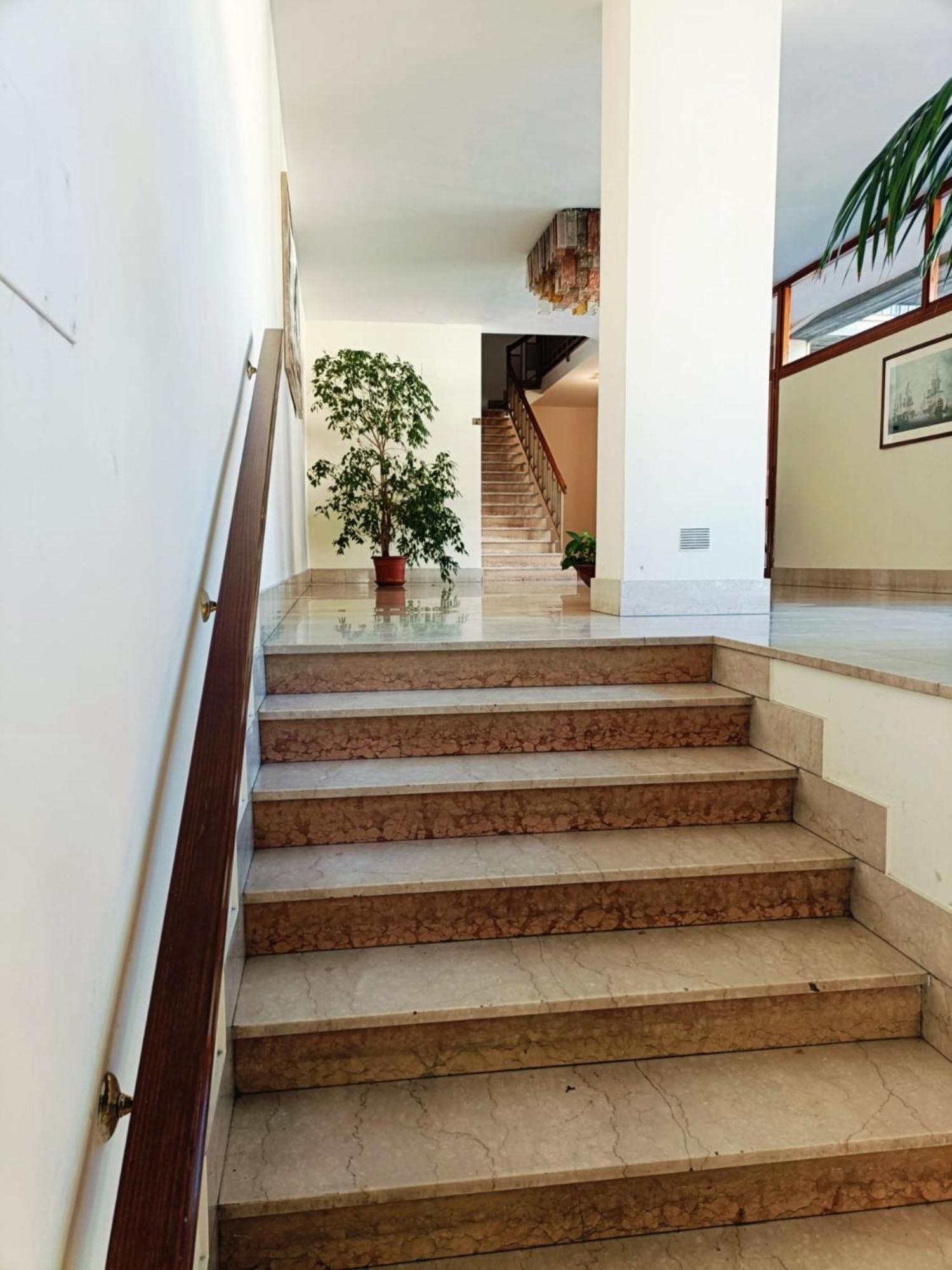 Bibi's House *