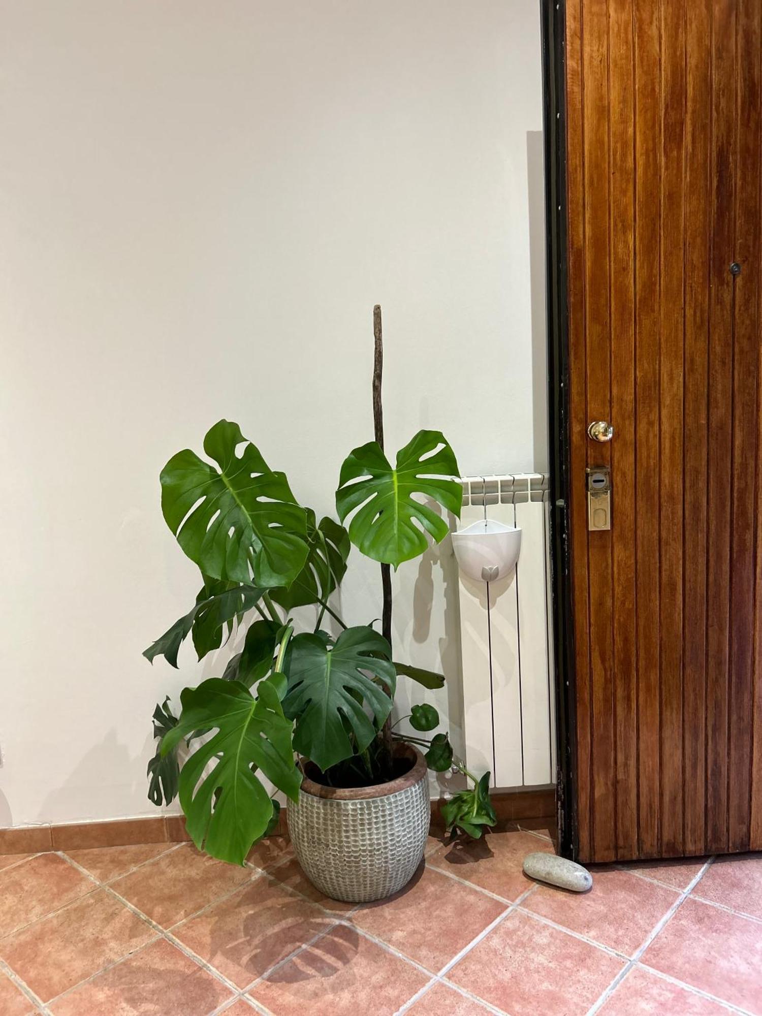 Appartement Le Tre Orchidee Florence