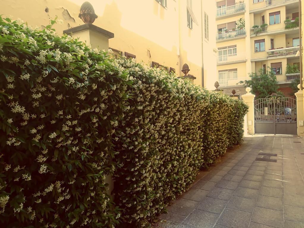 Hotel Della Robbia