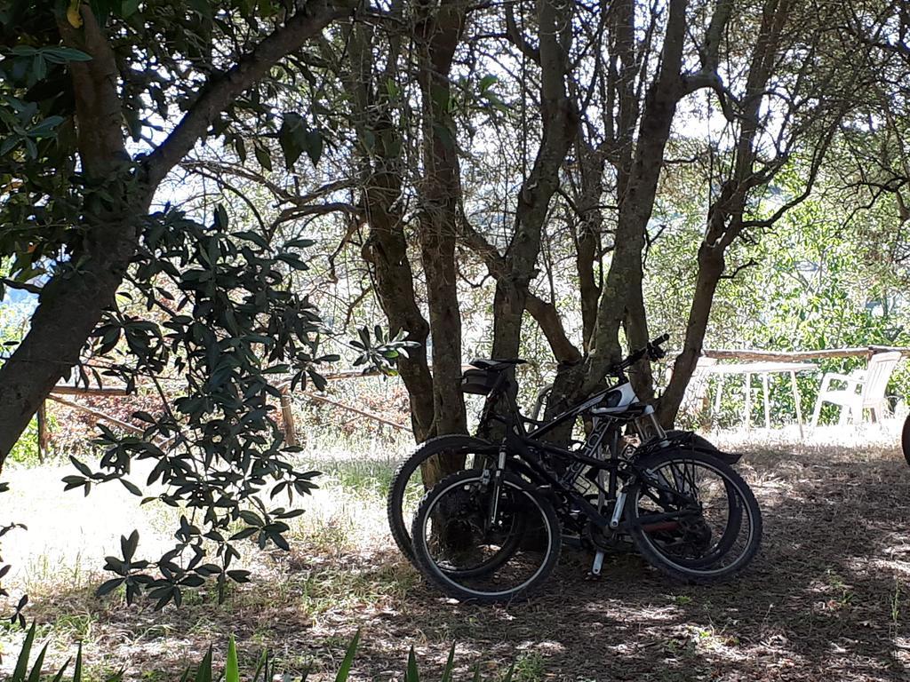 Farm stay Fattoria Il Milione