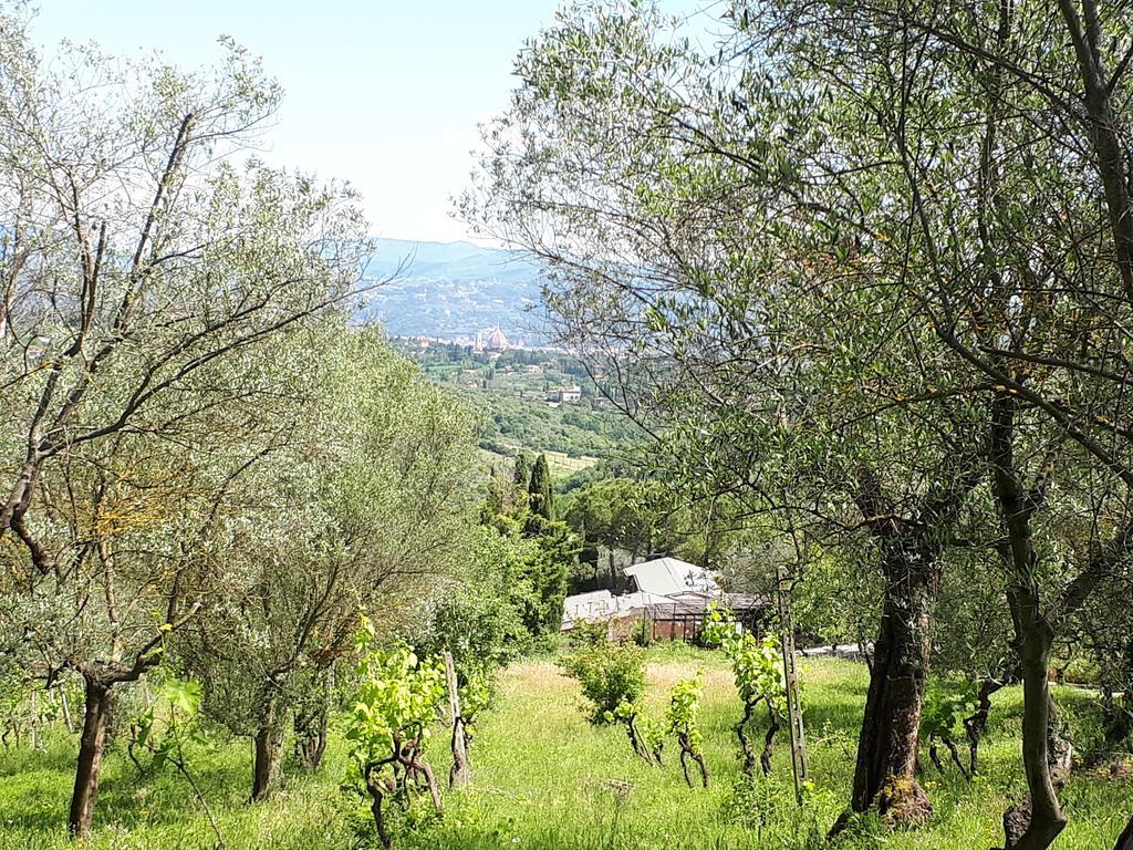 Fattoria Il Milione Farm stay