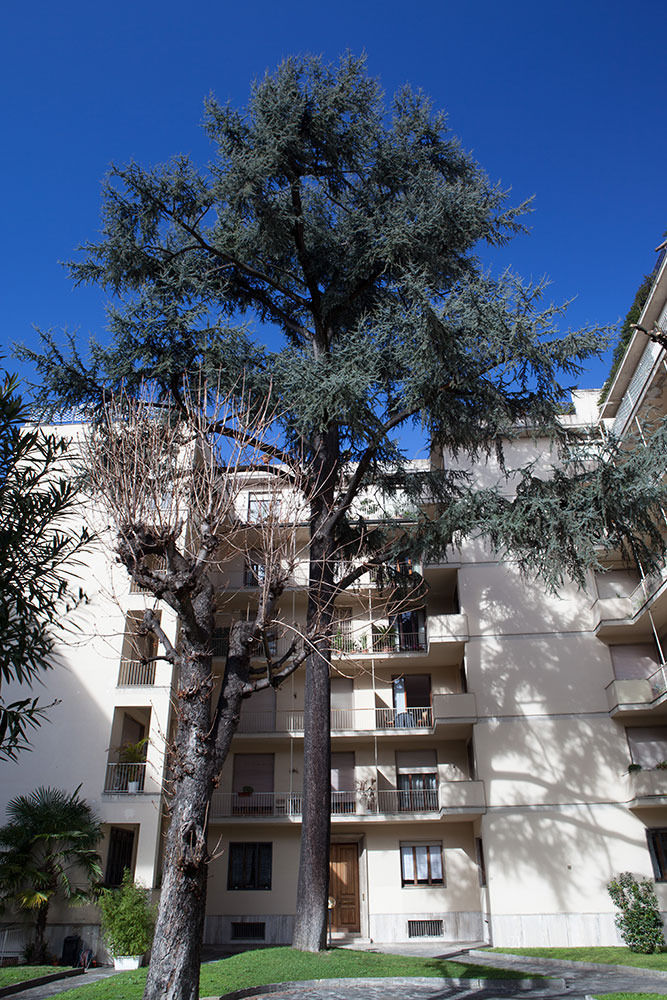 Verdi Apartment Florence