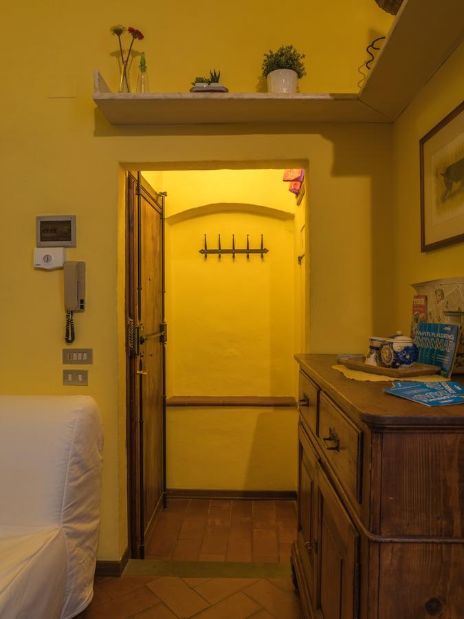 Pitti Palace 5 Stars Appartement