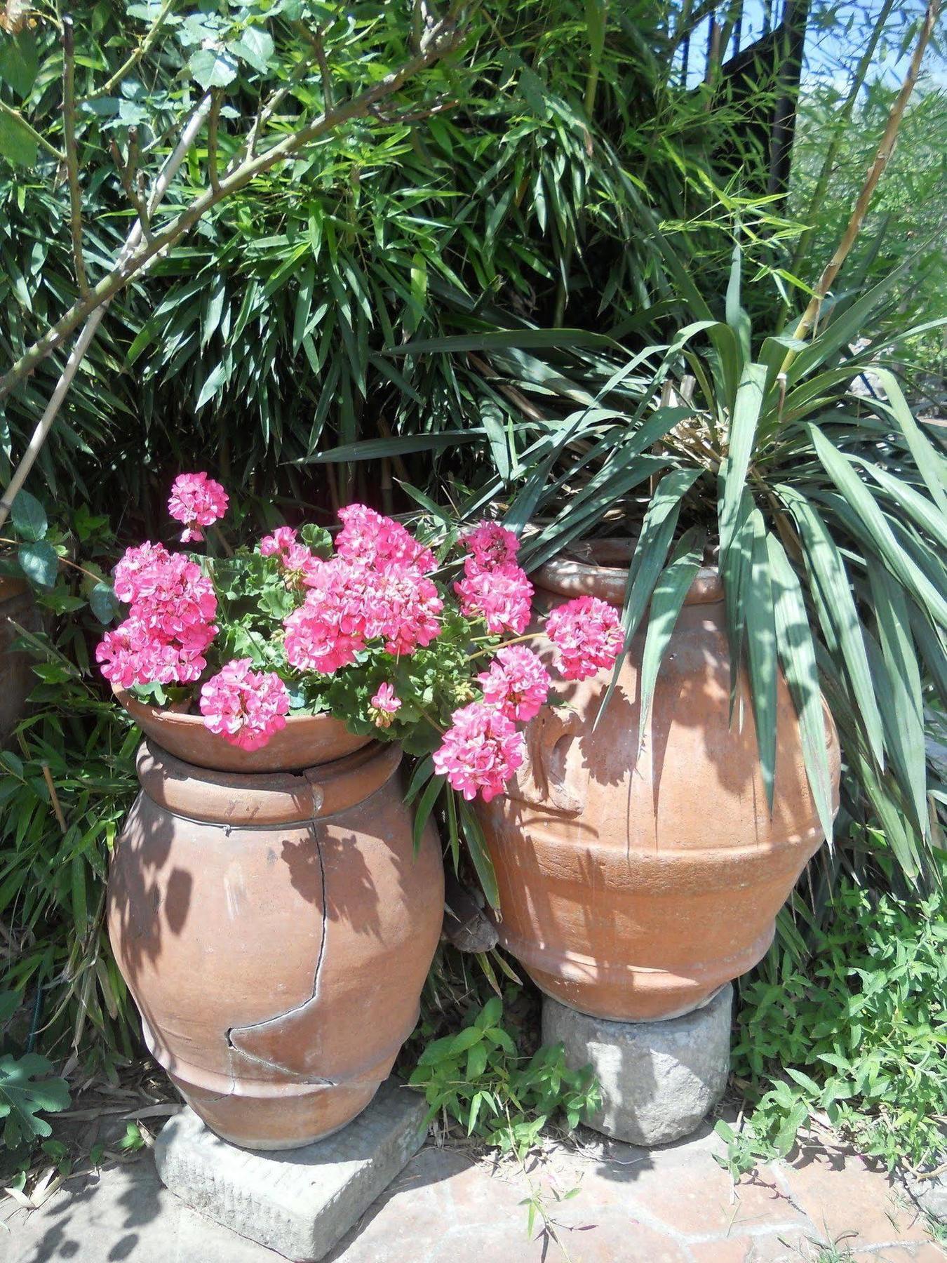 Alloggio per agriturismo Le Macine *