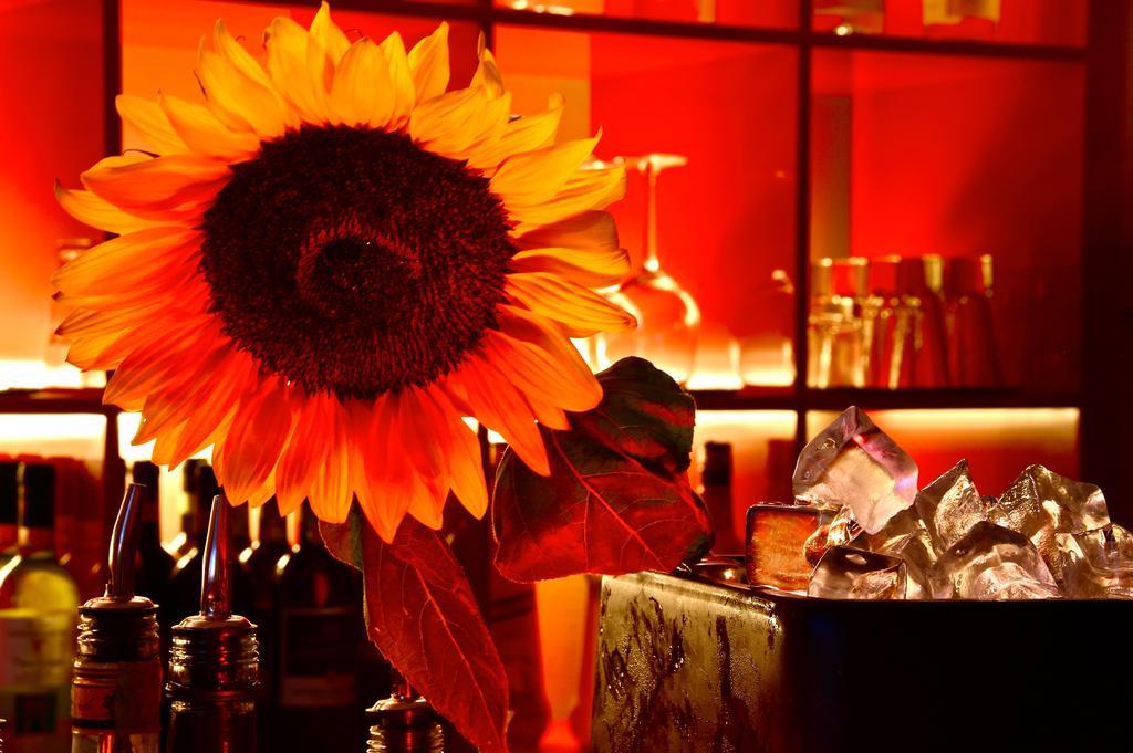 Eurhotel 3* Florence
