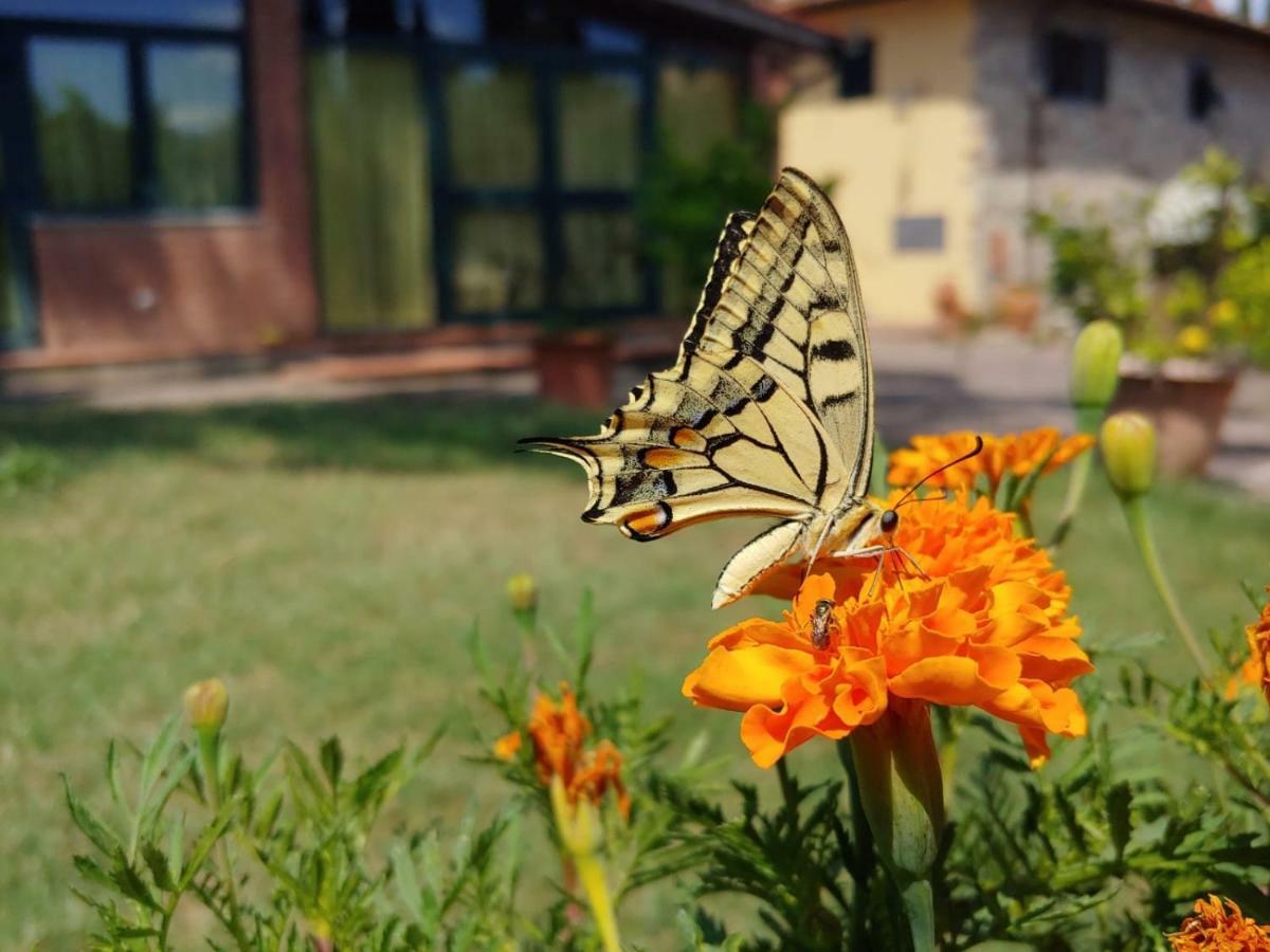 La Fattoressa Farm stay *