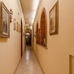 Affittacamere Greenhause
