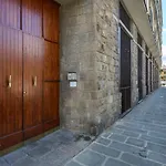 Penthouse With Big Terrace In Oltrarno