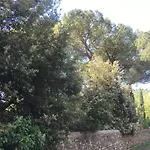 Elegante E Spazioso Bilocale In Zona Certosa