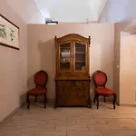 Apartments Florence- Palazzo Pitti