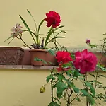 Dimora Del Magnifico
