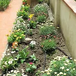 Le Petit Jardin Center Florence