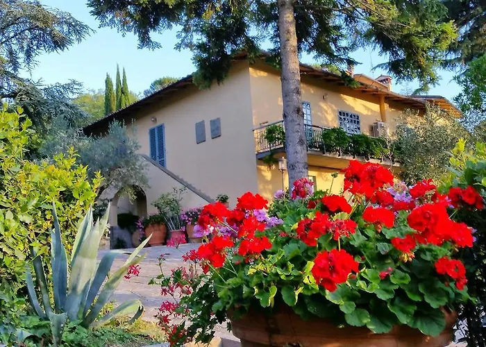 Ulivi Di Castello