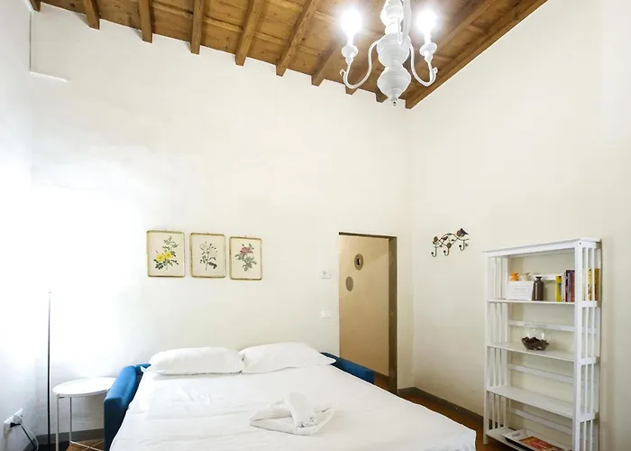 Roomy And Elegant Apartment By Piazza Pitti