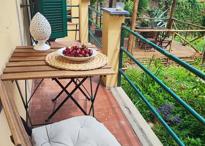 Garden View Room
