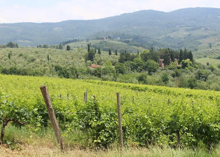 La Cascianella
