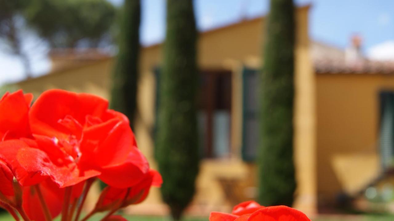 Bed & Breakfast Al Canto Florence