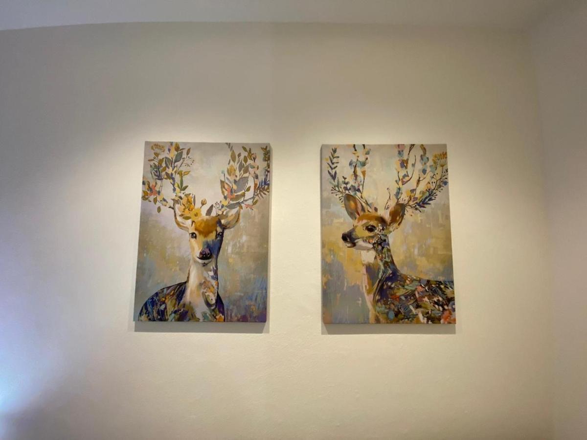 Appartement Kinga