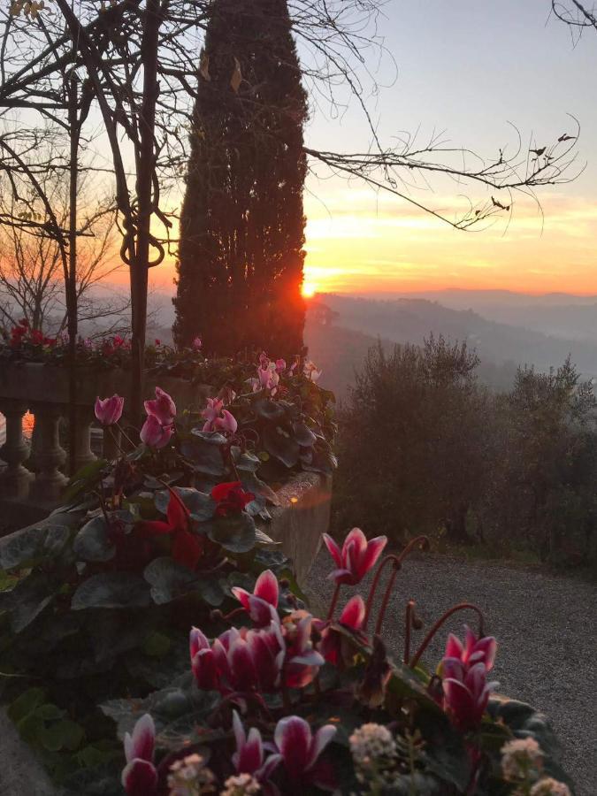 Bed & Breakfast La Piccioncina *
