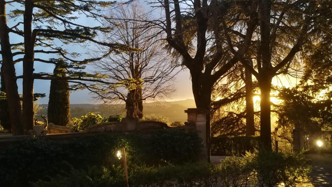 Bed & Breakfast La Piccioncina Florence