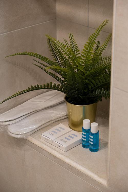 Guest house Provenzale Casa Florence