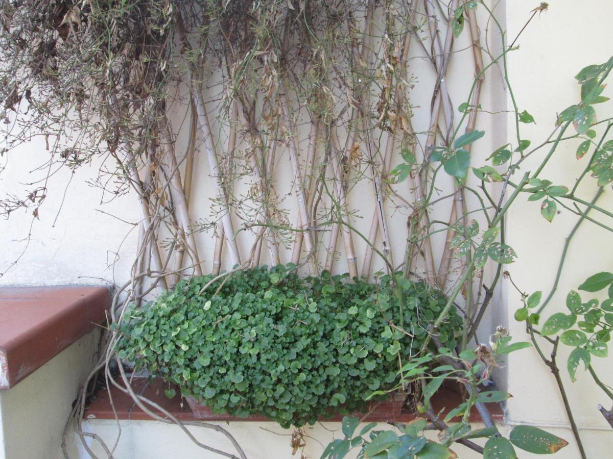 In Centre Of Florence, Balcony And Terrace With Amazing View Apartment