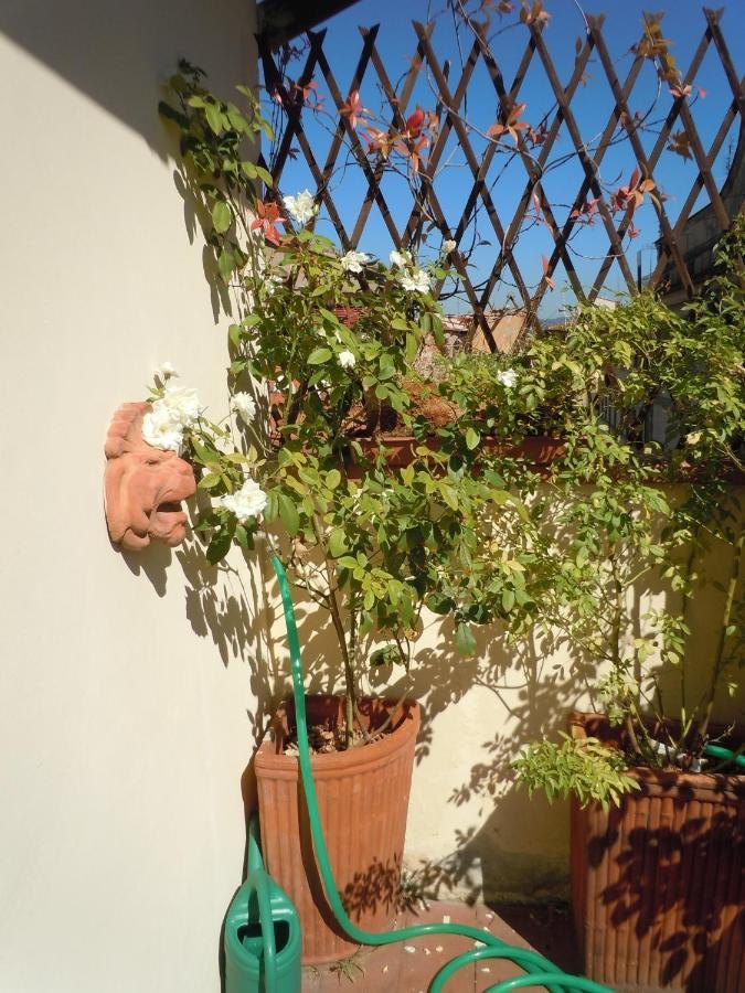 In Centre Of Florence, Balcony And Terrace With Amazing View Apartment Florence