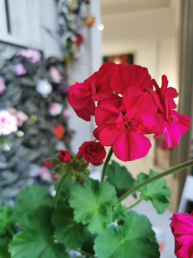 Acomodação com café da manhã  Barbera