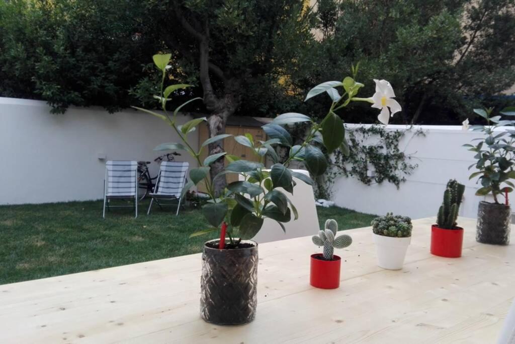Flower Garden Vicino Al Centro Appartamento