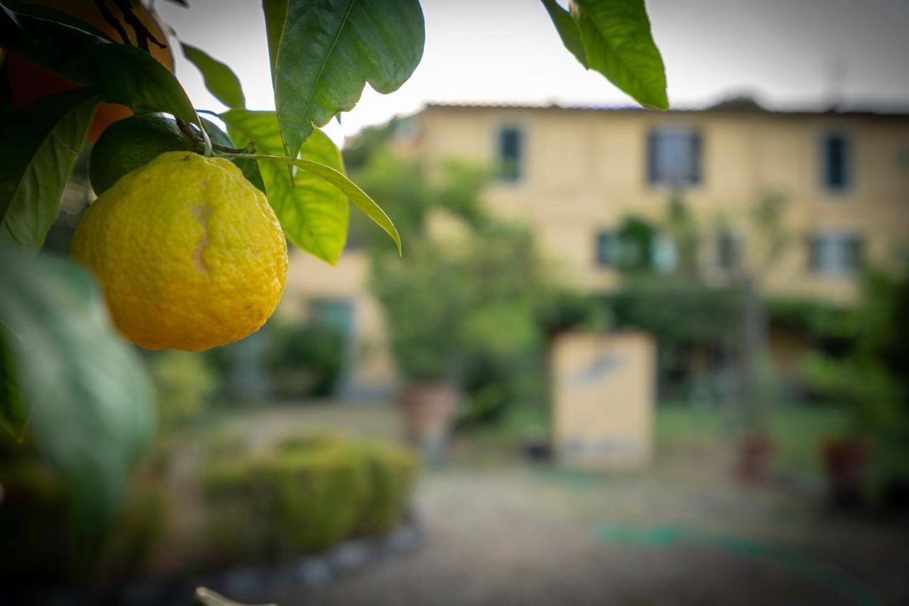 Ape Rosa Relais Bed & Breakfast 2*