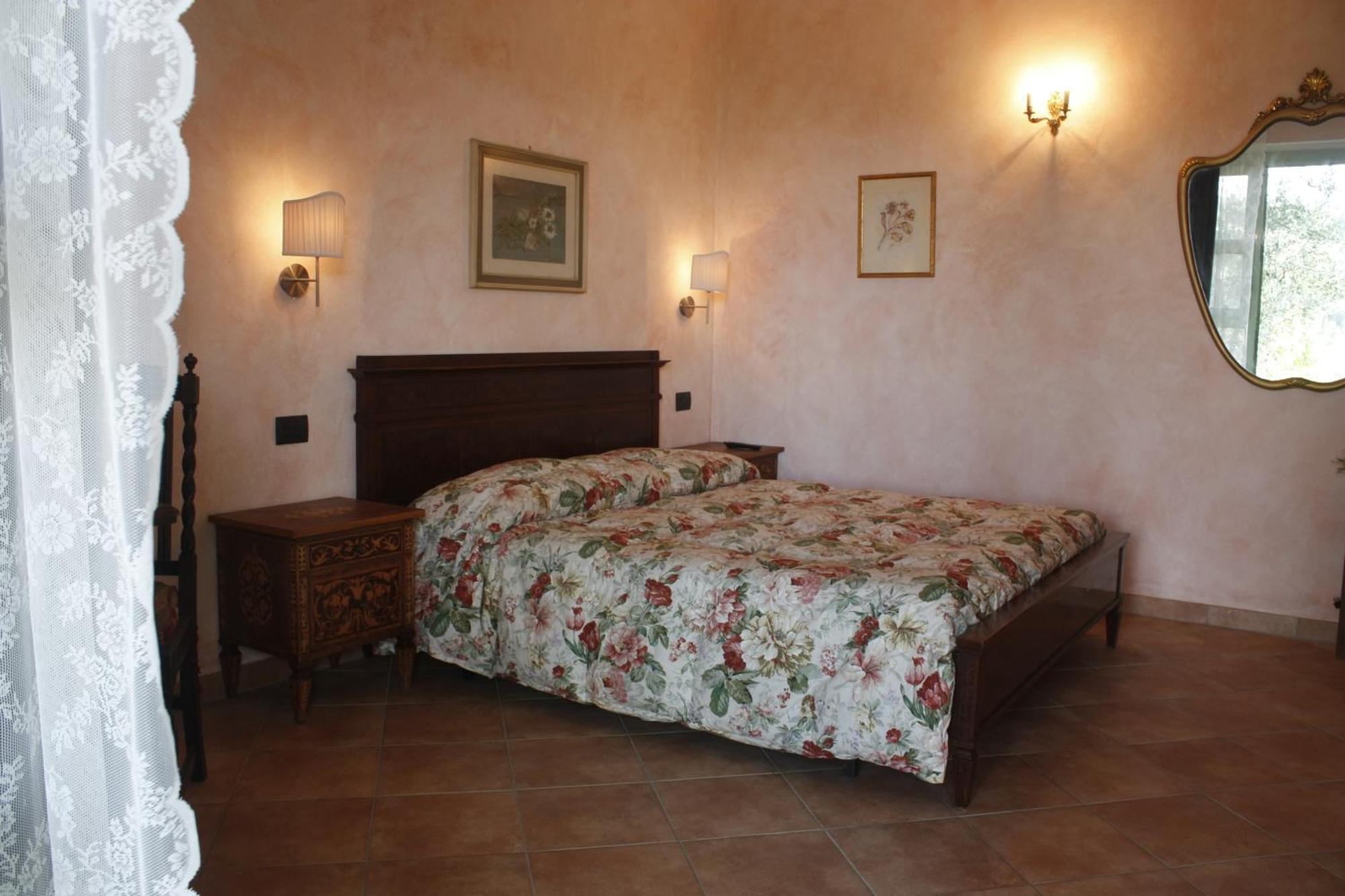 Ulivi Di Castello