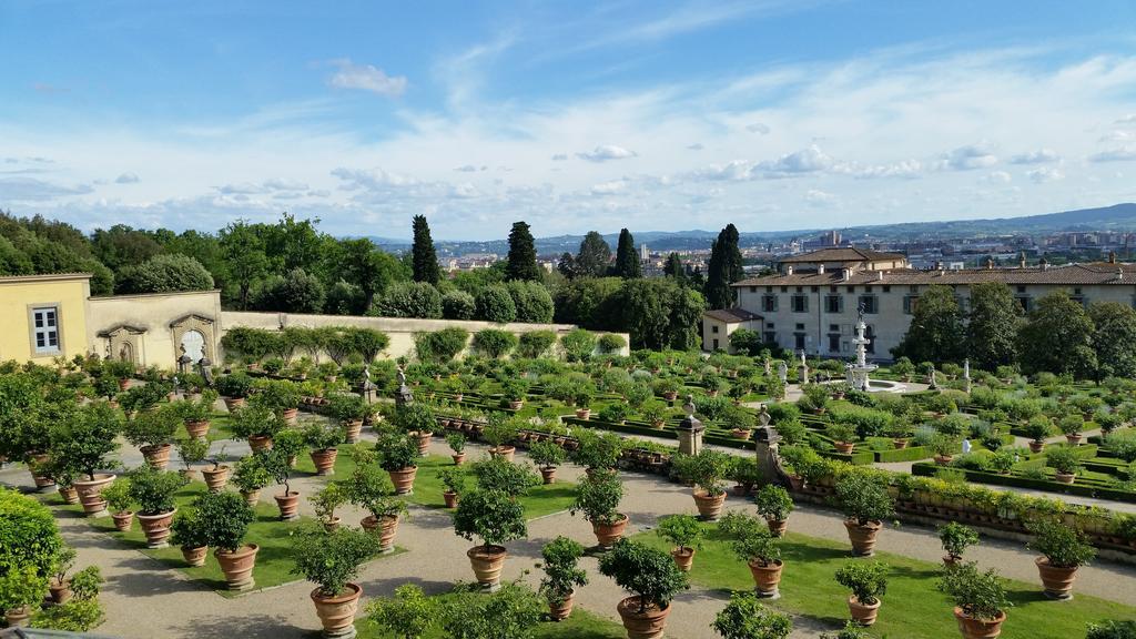 Ulivi Di Castello 3* Florença