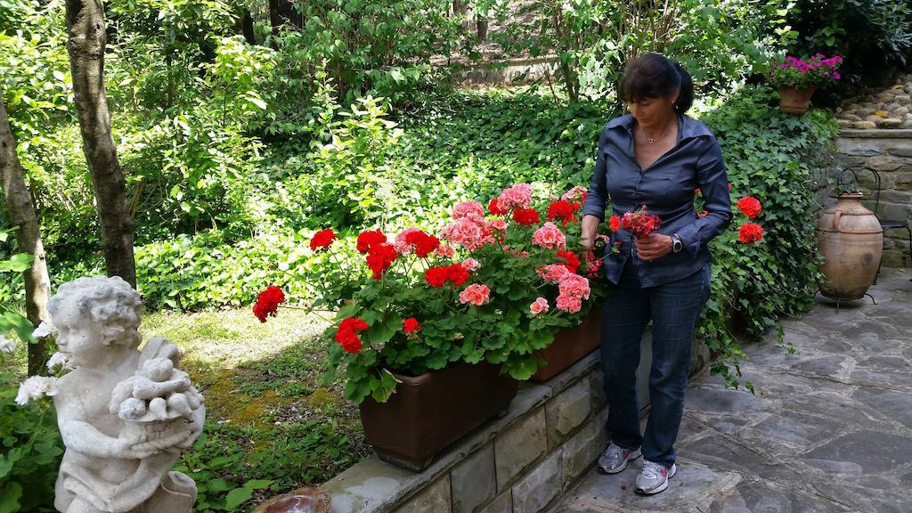 Bed & Breakfast Ulivi Di Castello